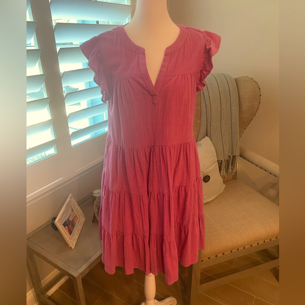 Roller Rabbit Raspberry Pippa Dress - Picture 2 of 3